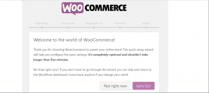 woocommerce1